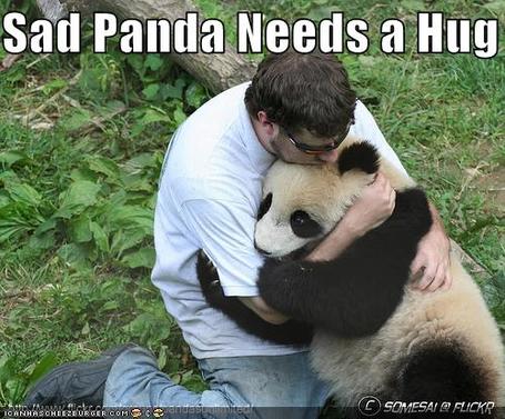 sad-panda-podiatrist_medium.jpg]